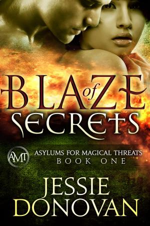 Book cover of Blaze of Secrets