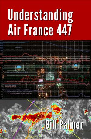 Cover of the book Understanding Air France 447 by Helen Krasner
