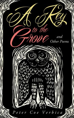 bigCover of the book A Key to the Grove and Other Poems by 