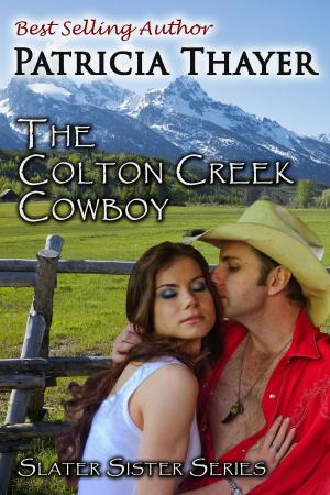 Cover of the book Colton Creek Cowboy by Nicole Price