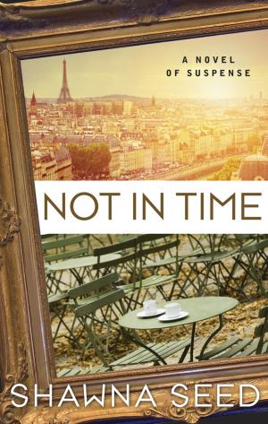 Cover of the book Not in Time by D.C. Rhind