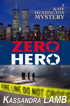 Cover of the book Zero Hero by Kirsten Weiss