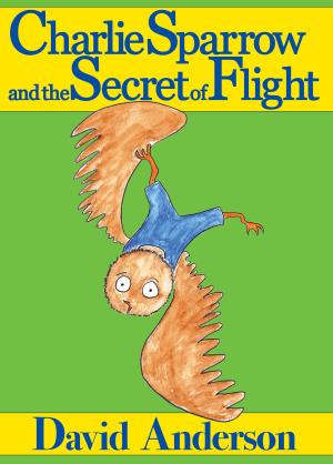 Book cover of Charlie Sparrow and the Secret of Flight