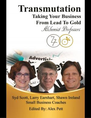 Book cover of Transmutation: Taking Your Business from Lead to Gold