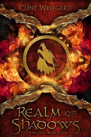 Book cover of Realm of Shadows