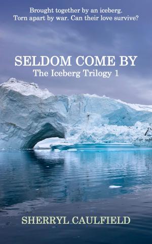 Book cover of Seldom Come By