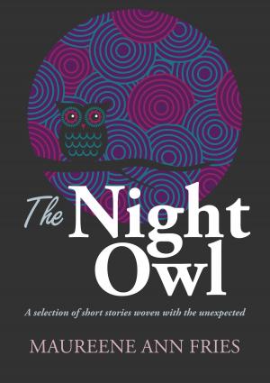 Cover of the book The Night Owl by A. M. Leibowitz