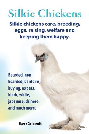 Cover of the book . Silkie Chickens. Silkie Chickens Care, Breeding,Eggs,Raising, Welfare And Keeping Them Happy. by James Jackson