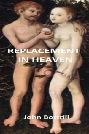 Cover of the book Replacement in Heaven by Gord McLeod