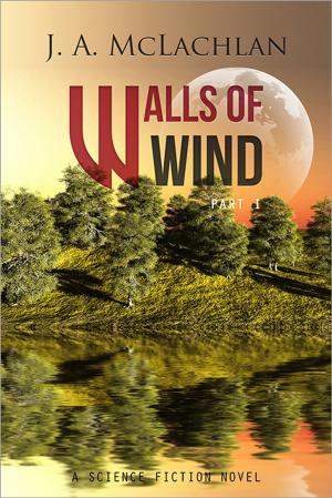 Cover of the book Walls Of Wind: Part I by Jonathan MS Pearce