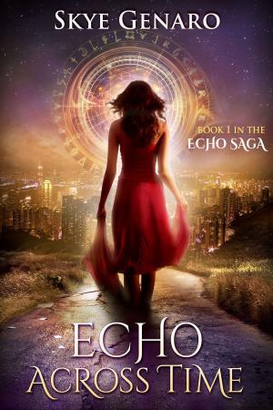 Cover of the book Echo Across Time by Brighid