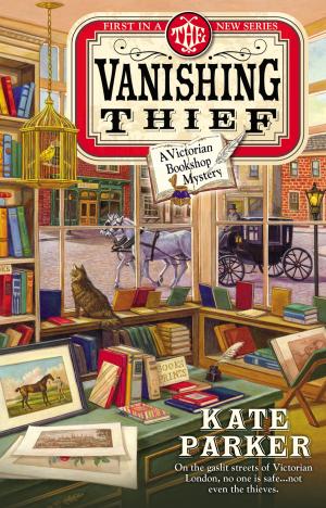 Cover of the book The Vanishing Thief by Liz Michalski