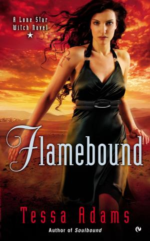 Cover of the book Flamebound by Tabor Evans