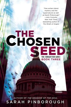 Cover of the book The Chosen Seed by Ruu McKinney