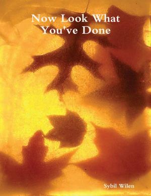 Cover of the book Now Look What You've Done by Sandra D Halpenny
