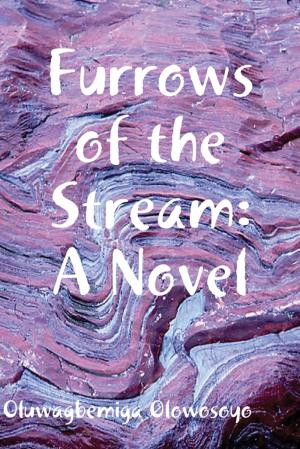 Book cover of Furrows of the Stream: A Novel