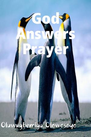 Book cover of God Answers Prayer