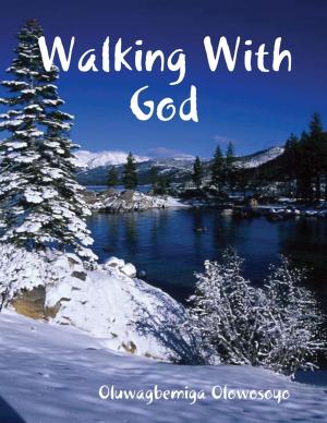 Cover of the book Walking With God by J.R. Phillip, MD, PhD