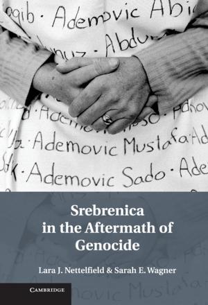 Cover of the book Srebrenica in the Aftermath of Genocide by J. Michael Steele