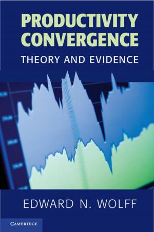 Cover of the book Productivity Convergence by Donatella della Porta