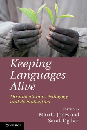 Cover of the book Keeping Languages Alive by Fabio Rossi, Giuseppe Patota