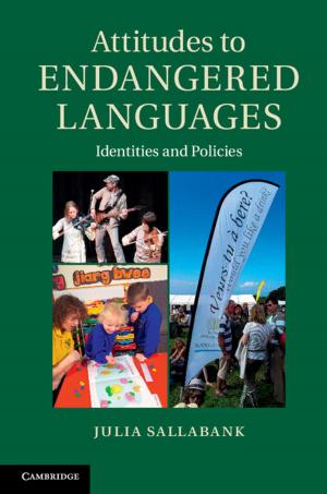 Cover of the book Attitudes to Endangered Languages by Jessica M. Lepler