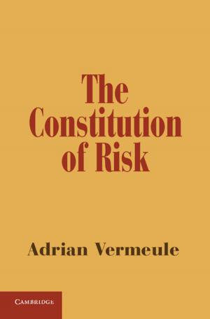 Cover of the book The Constitution of Risk by David F. Anderson, Timo Seppäläinen, Benedek Valkó