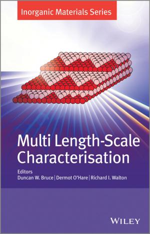 Cover of the book Multi Length-Scale Characterisation by Andrew E. Baum, David Hartzell