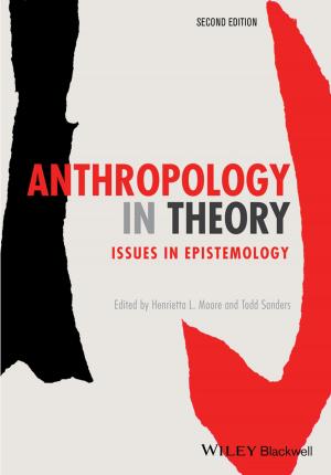 bigCover of the book Anthropology in Theory by 