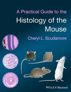 Cover of the book A Practical Guide to the Histology of the Mouse by Fuzhong Weng