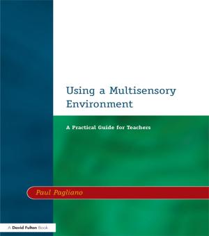 Cover of the book Using a Multisensory Environment by Jane Stabler