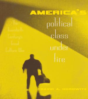 Cover of the book America's Political Class Under Fire by Erica Baffelli