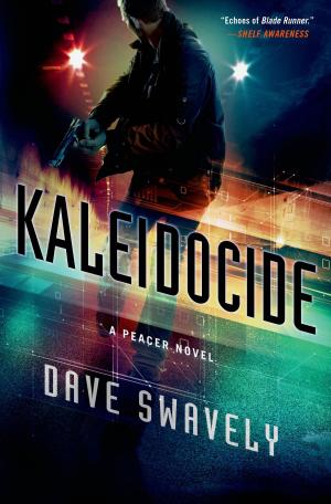 Cover of the book Kaleidocide by Jeff Wilson