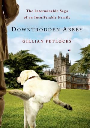Cover of the book Downtrodden Abbey by Stefanie Pintoff