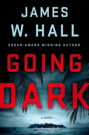 Cover of the book Going Dark by Andrew Young