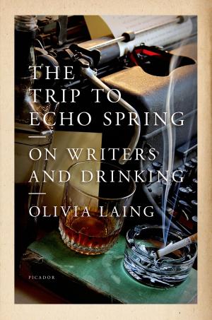 Cover of the book The Trip to Echo Spring by John Lydon, Keith Zimmerman, Kent Zimmerman
