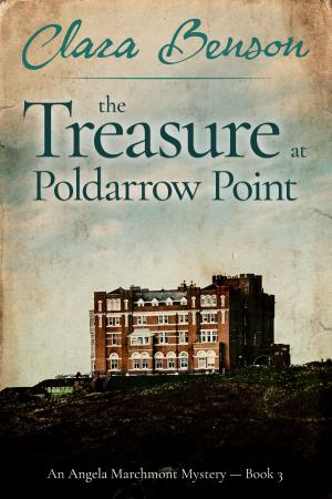 Book cover of The Treasure at Poldarrow Point