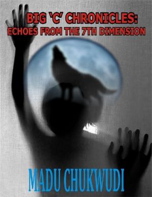Cover of the book Big 'C' Chronicles: Echoes from the 7th Dimension by Akmal C