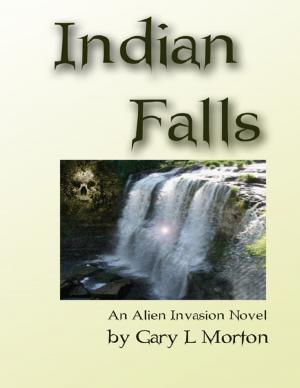 Cover of the book Indian Falls - An Alien Invasion Novel by Lynne Butler, BA LLB TEP