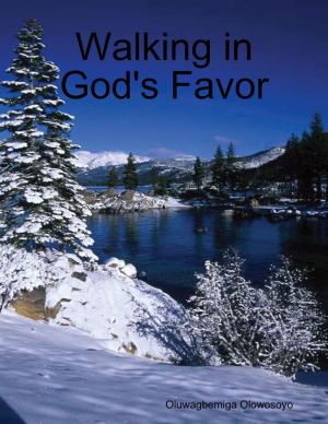 Book cover of Walking in God's Favor