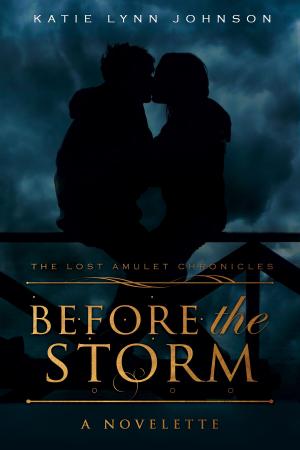 Cover of the book Before the Storm: A Novelette by Kristin Stecklein