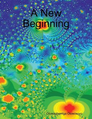 Cover of the book A New Beginning by Rollie Lawson