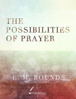 Cover of the book The Possibilities of Prayer by Adebayo Ojo Oshorun