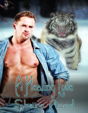 Cover of the book A Healing Love by Tony Kelbrat
