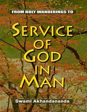 Cover of the book From Holy Wanderings to Service of God In Man by Vanessa Carvo