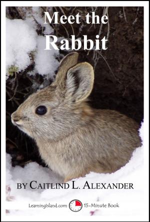Book cover of Meet the Rabbit: A 15-Minute Book for Early Readers