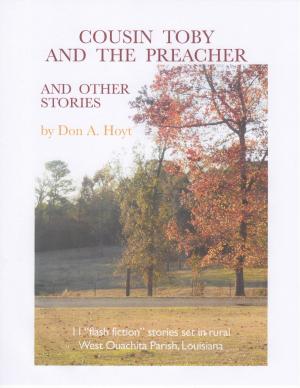 Cover of the book Cousin Toby and the Preacher and Other Stories by Sallyanne Monti