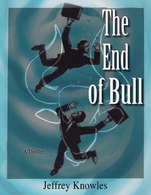 bigCover of the book The End of Bull by 