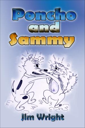 Book cover of Poncho and Sammy