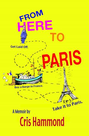 Cover of From Here To Paris: Get laid off. Buy a barge in France. Take it to Paris.